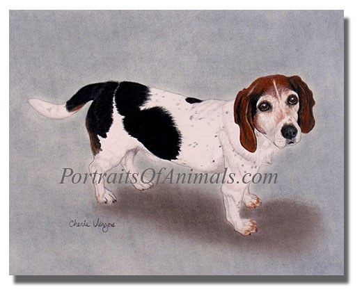 beagle dog portrait painting pet portraits by cherie