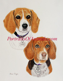 Beagle Pet Portrait painting Dog Art