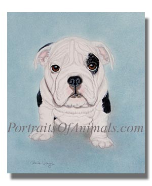 English bulldog Dog Painting Portrait